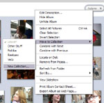 Screenshot of Picasa Album actions