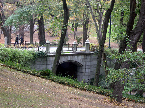 Brug Central Park